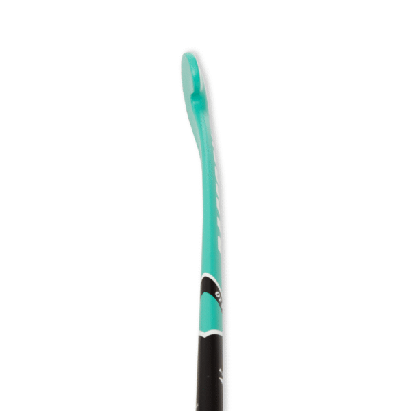 Palo RACCOON 2024 Alpha 10