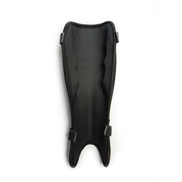 Canilleras Raccoon Storm